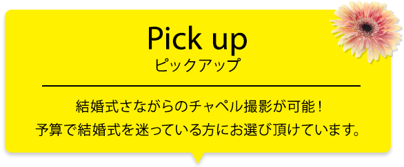 Pick up ピックアップ 結婚式さながらのチャペル撮影が可能！予算で結婚式を迷っている方にお選び頂けています！
